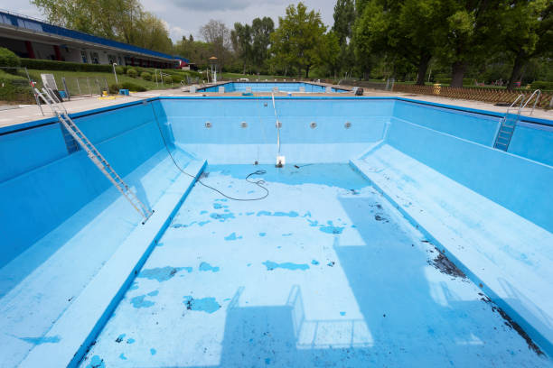 Best Water damage cleanup near me  in Homer Glen, IL
