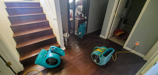  Homer Glen, IL Water damage restoration Pros
