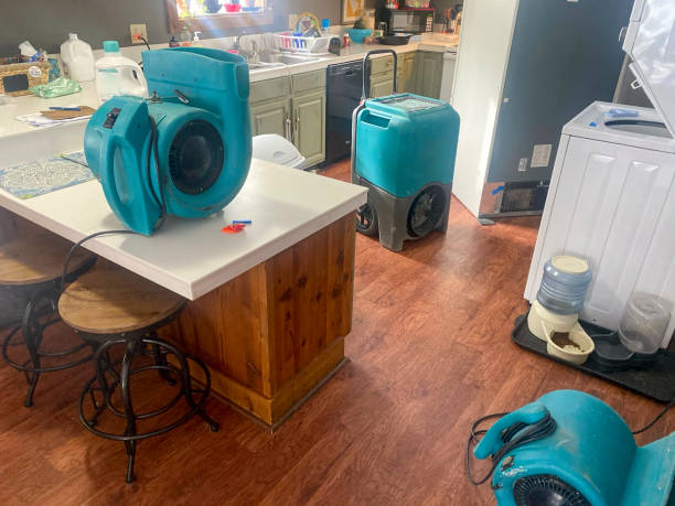 Best Ceiling water damage repair  in Homer Glen, IL