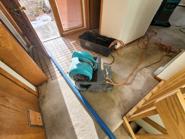 Best Water damage restoration experts  in Homer Glen, IL