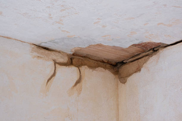 Best Commercial water damage restoration  in Homer Glen, IL