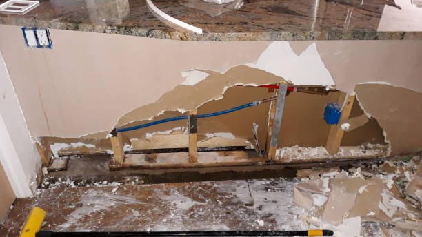 Best Local water damage restoration  in Homer Glen, IL