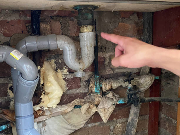 Best Carpet water damage restoration  in Homer Glen, IL