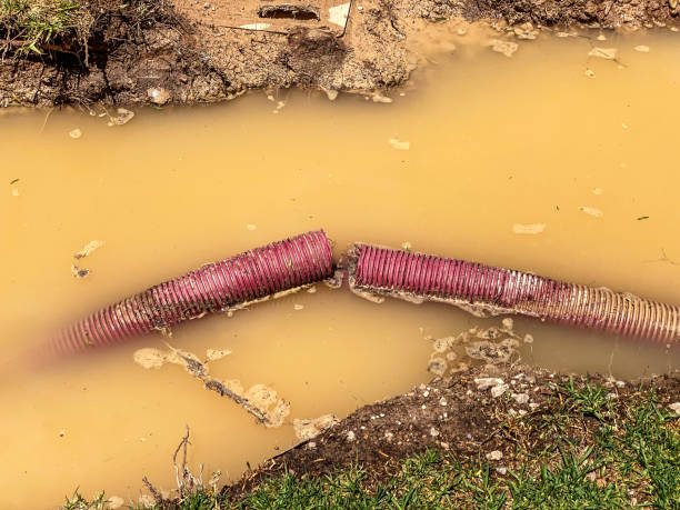 Best Water damage repair service  in Homer Glen, IL