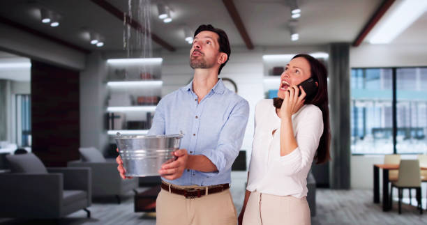 Best Professional water damage repair  in Homer Glen, IL