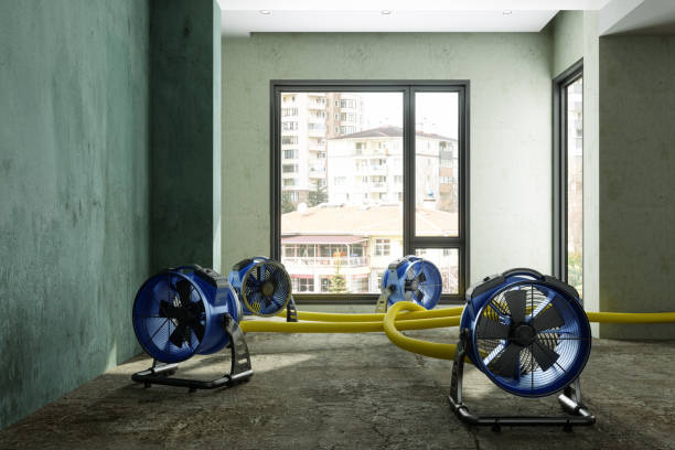 Best Flood restoration services  in Homer Glen, IL